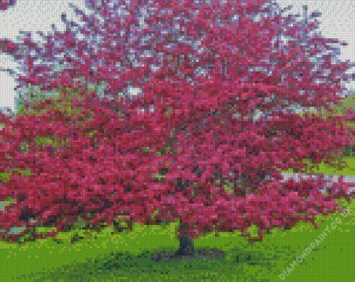 Crabapple tree landscape paint by numbers