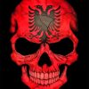 Albanian Flag Skull paint by numbers