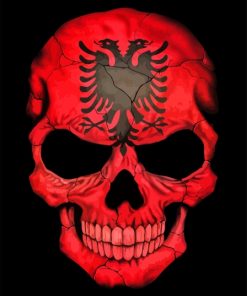 Albanian Flag Skull paint by numbers