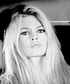 Brigitte bardot Diamond Paints