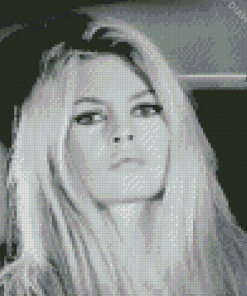 Brigitte bardot Diamond Paints