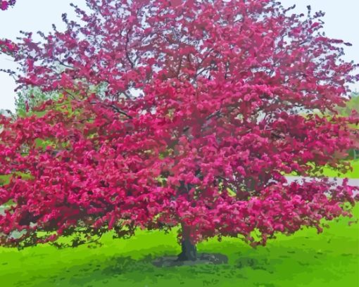 Crabapple tree landscape paint by numbers