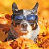 Dog with sunglasses in leaves paint by numbers