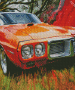 1969 Pontiac Car Diamond Painting