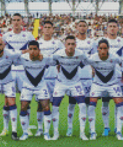 ACF Fiorentina Players Diamond Painting