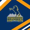 ACT Brumbies Logo Diamond Painting