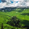 Alpine Meadows Spring Diamond Painting