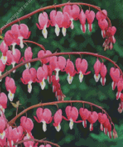 Asian Bleeding Heart Diamond Painting