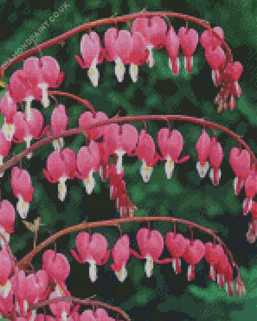 Asian Bleeding Heart Diamond Painting