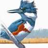 Belted Kingfisher Diamond Painting