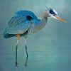 Blue Heron Diamond Painting