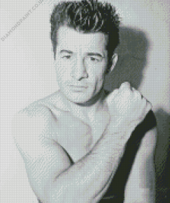 Boxer Rocky Graziano Diamond Painting