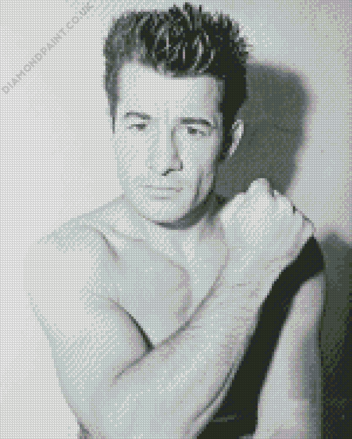 Boxer Rocky Graziano Diamond Painting