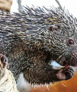 Brazilian Porcupine Diamond Painting