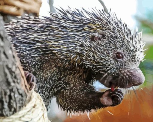 Brazilian Porcupine Diamond Painting