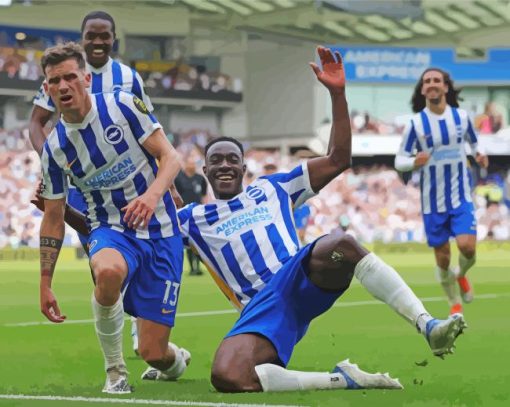 Brighton And Hove Albion Diamond Painting