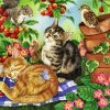 Cats And Squirrel Diamond Painting