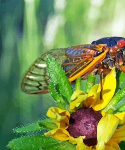 Cicadas On Flower Diamond Painting