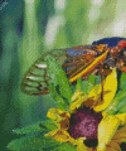 Cicadas On Flower Diamond Painting