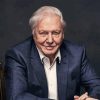 Classy David Attenborough Diamond Painting