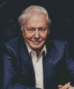 Classy David Attenborough Diamond Painting