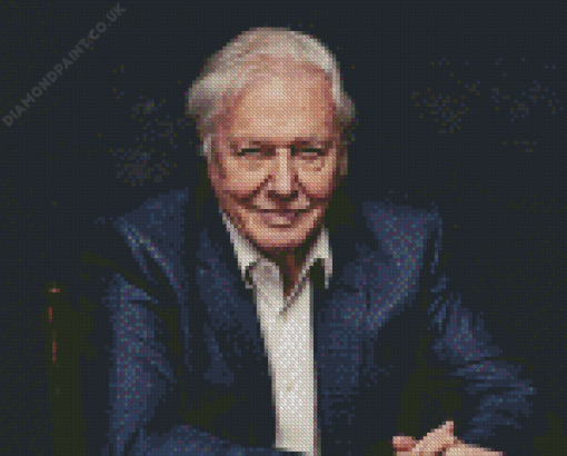 Classy David Attenborough Diamond Painting