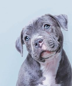 Cute Blue Staffy Diamond Painting