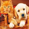 Cute Lab And Cat Diamond Painting