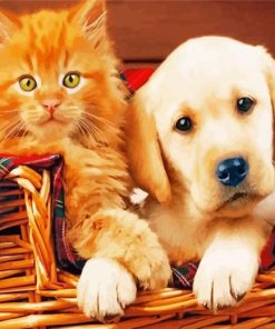 Cute Lab And Cat Diamond Painting