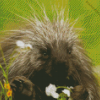 Cute Porcupine Diamond Painting