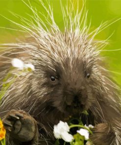 Cute Porcupine Diamond Painting