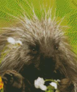 Cute Porcupine Diamond Painting