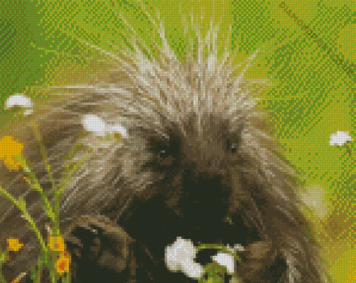 Cute Porcupine Diamond Painting