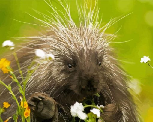 Cute Porcupine Diamond Painting