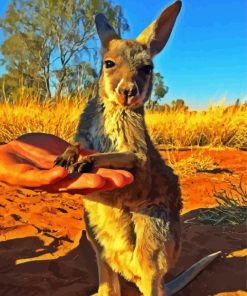 Cute Baby Kangaroo Diamond Painting