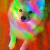 Cute Rainbow Dog Diamond Painting