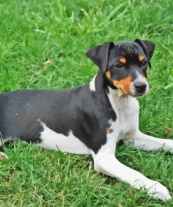 Danish Swedish Farmdog Diamond Painting