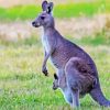 Eastern Grey kangaroos Diamond Painting