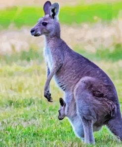 Eastern Grey kangaroos Diamond Painting