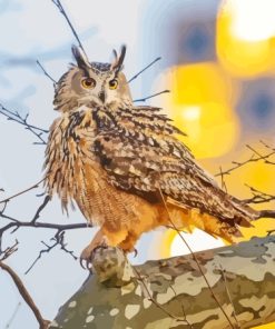 Eurasian Eagle Owl Diamond Painting