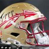 Florida State Seminoles Helmet Diamond Painting