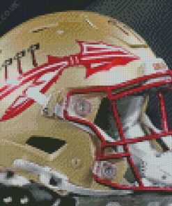 Florida State Seminoles Helmet Diamond Painting