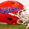 Florida Gators Helmet Diamond Painting