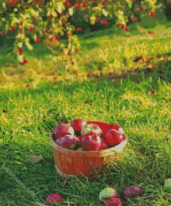 Freshly Picked Apples Diamond Painting