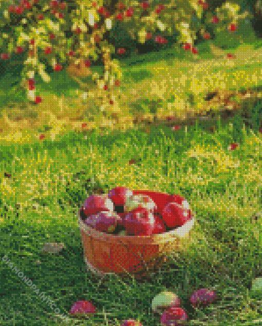 Freshly Picked Apples Diamond Painting