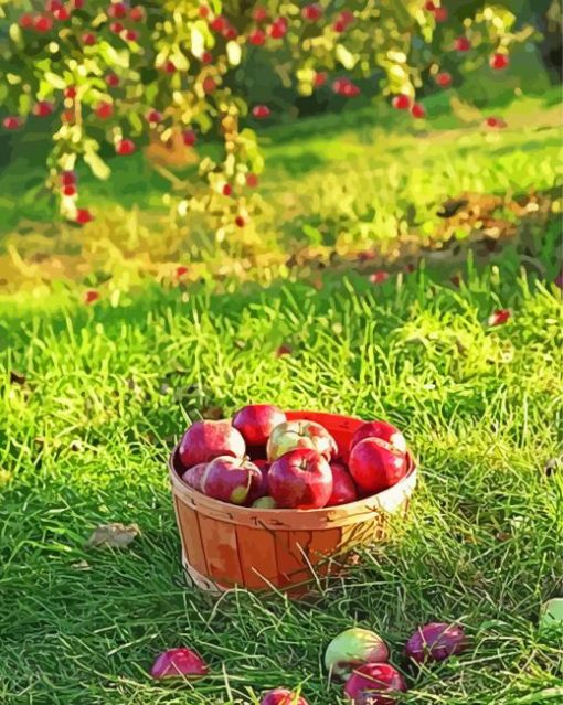 Freshly Picked Apples Diamond Painting