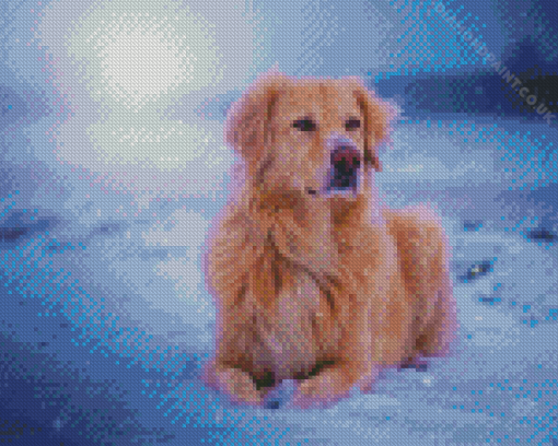 Golden Retriever Diamond Painting