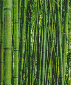 Green Bamboo Diamond Painting