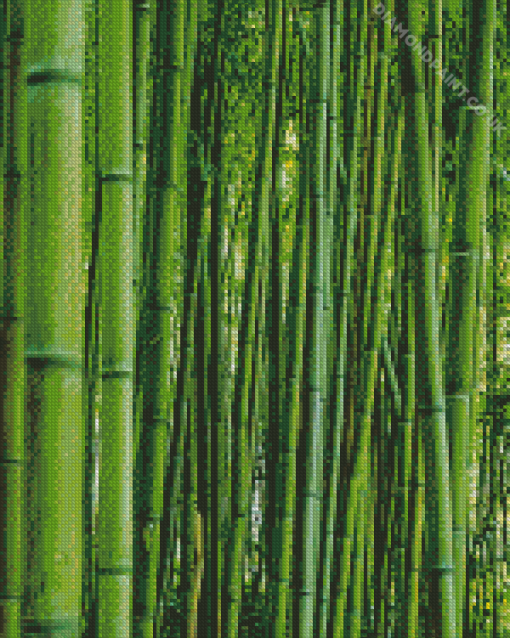 Green Bamboo Diamond Painting