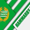 Hammarby Football Team Diamond Painting